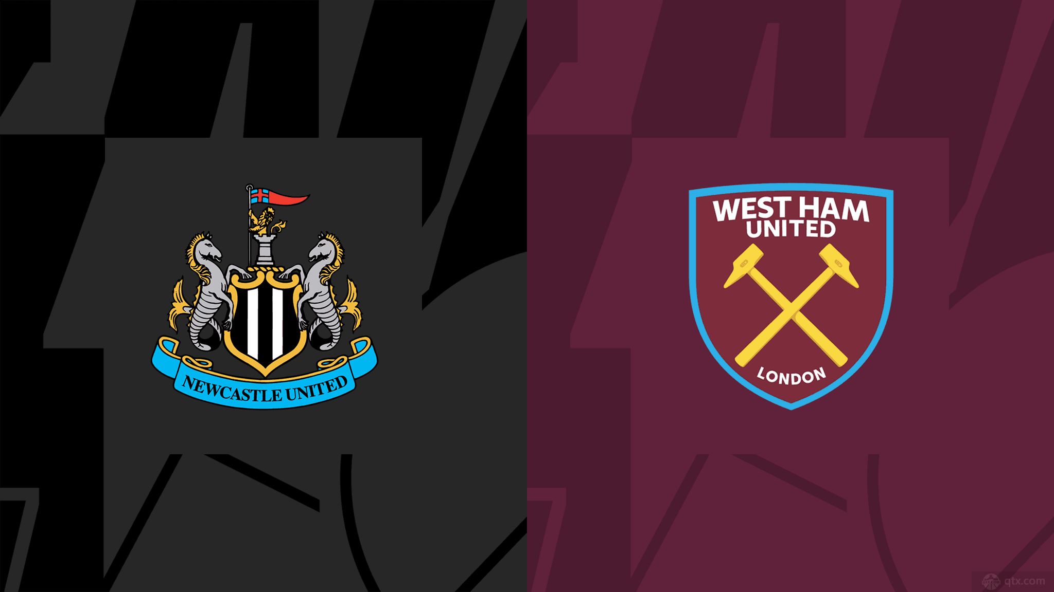 不拔的精神 不拔的精神